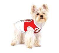 Brandenburg Flag Cotton Dog Shirt â€“ Soft Breathable Dog Shirt for Dogs Cats Boy Girl Pet Tshirt,Suitable for Small Pets