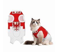 Brandenburg Flag Pet Recovery Suit for Dogs - Soft Cotton Surgical Recovery Suit to Prevent Licking, Prevent Licking Puppy Onesies, Black