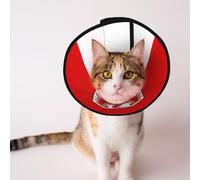 Brandenburg Flag Soft Dog Cone Collar, Depets Adjustable Recovery Pet Cone E-Collar for Cats Kittens Rabbits, Comfy Elizabethan Collar