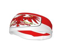 Brandenburg Flag Sports Sweatband, Unisex Headbands for Men and Women,Stretchy, Breathable, and Moisture-Wicking