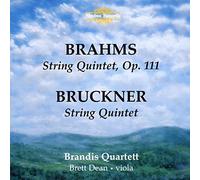 BRANDIS QUARTETT - BRAHMS STRING QUINTET OP.111 - CD - K3z