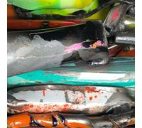 Brandon Seabrook's Epic Proportions Brutalovechamp (CD) (US IMPORT)