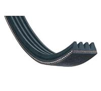 Brandt - Hutchinson H7 El Belt Strap - BLH112UN