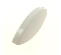 Brandt White Controller