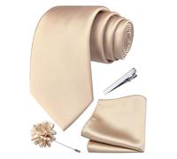 Branduce 3.15"（8cm） Mens Tie and Lapel Pin Solid Necktie Handkerchief Tie Clip Set for Men, Champagne, general