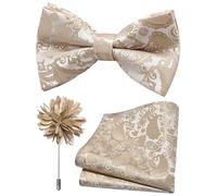 Branduce Paisley Pre-tied Bow Tie and Pocket Square Lapel Pin Set for Men, Champagne, general