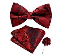 Branduce Paisley Pre-tied Bow Tie and Pocket Square Lapel Pin Set for Men, Red Black, general