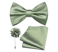 Branduce Solid Color Pre-tied Bow Tie and Pocket Square Lapel Pin Set for Men, Sage Green, general