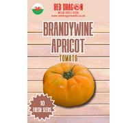 Brandywine Apricot Tomato Seeds - 10 Fresh Seeds