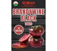 Brandywine Black Tomato Seeds - 10 Fresh Seeds