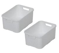 BranQ - Home essential Basket in Rattan Design Set of 2 Size L BPA-Free Plastic PP White 19 L