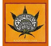 Brant Bjork and the Low Desert Punk Band - Black Power Flower