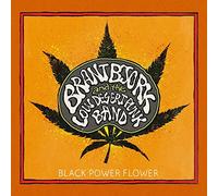 Brant Bjork & The Low Desert Punk Band - Black Power Flower