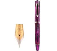BRART Pen German Dual Color Gold Plated Tip Adult Student Writing Practice Calligraphy Gift Pen Ink Pen(B1)