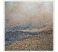 Brass Bed - In the Yellow Leaf [Slipcase] *