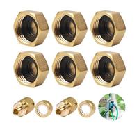 Brass Blanking Cap, 6PCS Garden Hose Female End Caps with Hose Washers and 2 PCS Brasses Hose Connector, Brass EndCap, Pipe Connection Fittings Suitable for Garden Hoses, Radiator Valves