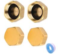 Brass Blanking Plugs 1/2 Inch Female Thread, Pack of 2, Hex Caps with Rubber Seal for Sanitary Fittings