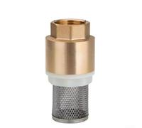 Brass Bottom Entry Non Return Valve with Stainless Steel Strainer for Irrigation Garden and Aquatic Installations (3/4inch)