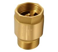 Brass Check Valve 1 Inch, Backflow Preventer 1 Inch Male to Female Thread, 1 Inch Return Valve, Rustproof and Waterproof for Pump, Garden, Washing Machine, Barrel