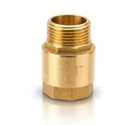 Brass Check Valve 1 Inch, Backflow Preventer, 1" Return Valve, Rustproof and Watertight-for Water Pipes,Pumps,Gardens,Barrels,Washing Machines