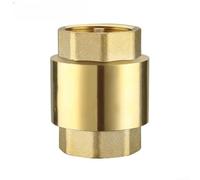 Brass Check Valve 1 Inch External Thread, Essential For Efficient Water Flow Control In Various Applications(3/4inch)