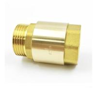 Brass check valve with threaded G connection, suitable for water supply and irrigation systems, designed to prevent backflow and pipeline safety (1inch-260g outer)