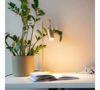 Brass Desk Lamp Table Lamp Adjustable Shade Minimalist Modern EUROPEAN PLUG