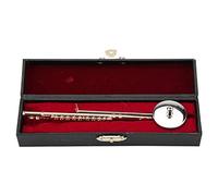 Brass Flute Model with Stand Musical Instrument Miniature Decoration for Home Coffee Ornament Miniature Flute Replica with Case