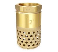 Brass Foot Valve, 2 inch NPT Heavy Duty Spring Mesh Check Valve Female Connection One Way Foot Valve Backflow Preventer with Holes Strainer Filter for Well Jet Pumps Foot Valve(2'' NPT)
