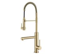 Brass Function Pre-Rinse Kitchen Faucet with Pull-Down Spring Spout and Pot Filler, 24.75 inch,Black(Light Grey)