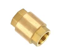 Brass Inline Check Valve, Horizontal 1 Way Check Valve, Female Threaded Check Valve for Wells, Pumps, Tanks and Backflow Prevention
