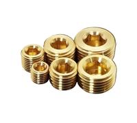 Brass Inner Hex Male Thread Pipe Plug M8-M22,End Cap Adapter | Threaded pipe fitting connector,multiple pack quantity options available(2pcs M14x1)