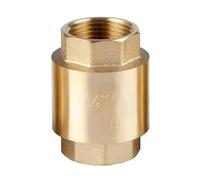 Brass Internal Thread Check Valve DN15 DN20 DN25 DN32 - Straight Through Spring Type for Water, Oil, and Gas(DN25)