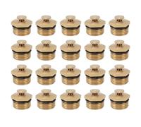Brass Misting Nozzles 20 Pack Adjustable Dust Removal Cooling Atomizers for Garden Lawn High Efficiency Mist Sprinklers 1/2 Inch Brass Material