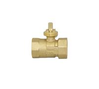 Brass Motorized Ball Valve 3-Wire Two Control Electric Actuator AC220V 3 Ways /2 Way DN15 DN20 DN25 DN32 DN40 Without(DN40,2 Way)