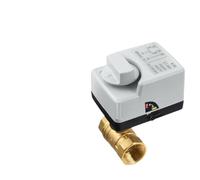 Brass Motorized Ball Valve AC220V DC12V Three-Wire Electric Actuator Manual Switch Two Control DN15-50 IP67(DN25,DC12-24V_3 Way)