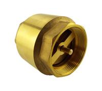 Brass Non-Return Spring Check Valve 2" Bsp Female - Solid Brass, 50 mm