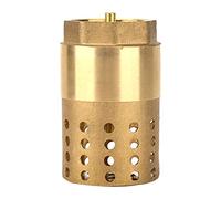 Brass One Way Female Thread Foot Valve Mesh Check Valve with Holes Strainer Filter DN25