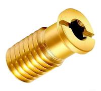 Brass Pool Cover Anchors, 1/5/10 Pack, Heavy Duty Replacement Screws, Precision Threaded Design, Rust Resistant for Pool Safety Maintenance(A)
