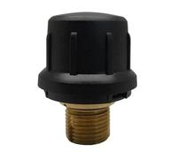 Brass Safety Valve，Compatible for Karcher，SC1 SC2 CTK10 SC2D Vacuum Cleaner for Steam Cleaners for Home Spare Part