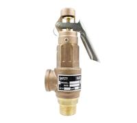 Brass Safety Valve DN15 DN20 Bronze Thread S10 S10L Safety Pressure Relief Valve Adjustable for Steam Boiler(4bar,DN20,S10L)