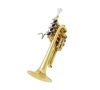 Brass Saxophone Trumpet Brass Band Professionally Playing Instruments In The Key Of B Flat An Octave Higher