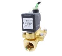 Brass Solenoid Valve 21W3QDF190, Two-Way Normally Closed, 6 mm, AC220V, DC24V(AC220V)