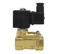 Brass Solenoid Valve, Two-Way, 21WA4K0B130, 24V, 220V, DN15(DC12V/8W)