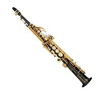Brass Straight High-pitched Saxophone Bb B Flat Sax Wind Instrument Natural Shell Keys Carve Pattern Saxophone for Student (Color : 02)
