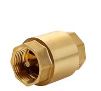Brass Thickened Anti-Reverse Water Check Valve Pipe Thread Plain Inside Screw Spring Swing Vertical Check Valve DN10~DN100(3/8")