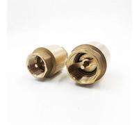 Brass Threaded in-Line Spring Vertical Lift Check Valve DN15 DN20 DN25 DN32 DN40 DN50-1 Piece(DN15)