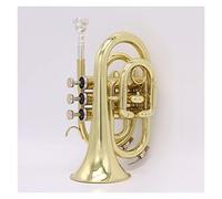 Brass Trumpet B-flat Three-tone Trumpet Mini Palm Number Beginner Playing Test Professional Band