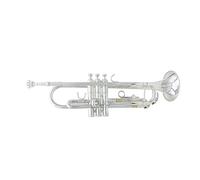 brass Trumpet Brass Instrument Brass Trumpet In B Flat For Beginners To Practice Playing The Trumpet (Color : Silver)