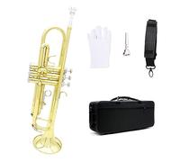 brass Trumpet Brass Instrument Brass Trumpet In B Flat For Beginners To Practice Playing The Trumpet (Color : Gold)